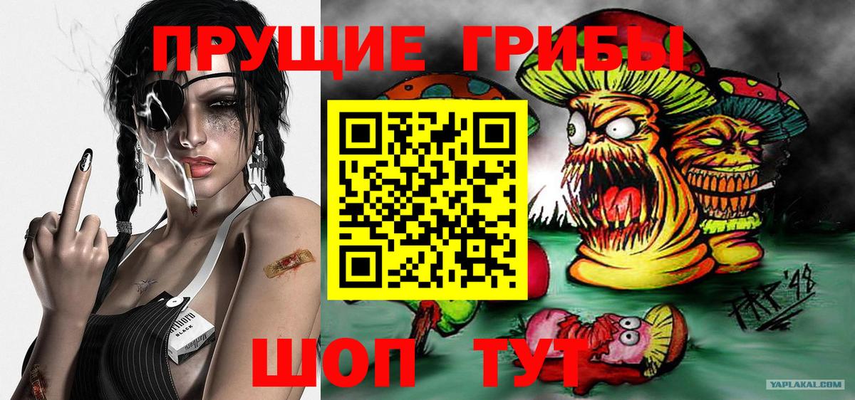 Псилоцибиновые грибы мухоморы  где продают   Борзя  Вход с VPN  Псилоцибиновые грибы прущие грибы 
